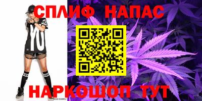 бошки Моздок